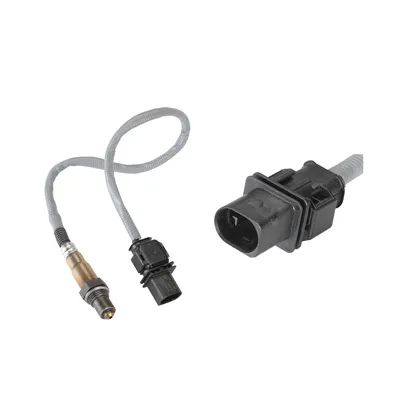 Oxygen Sensors