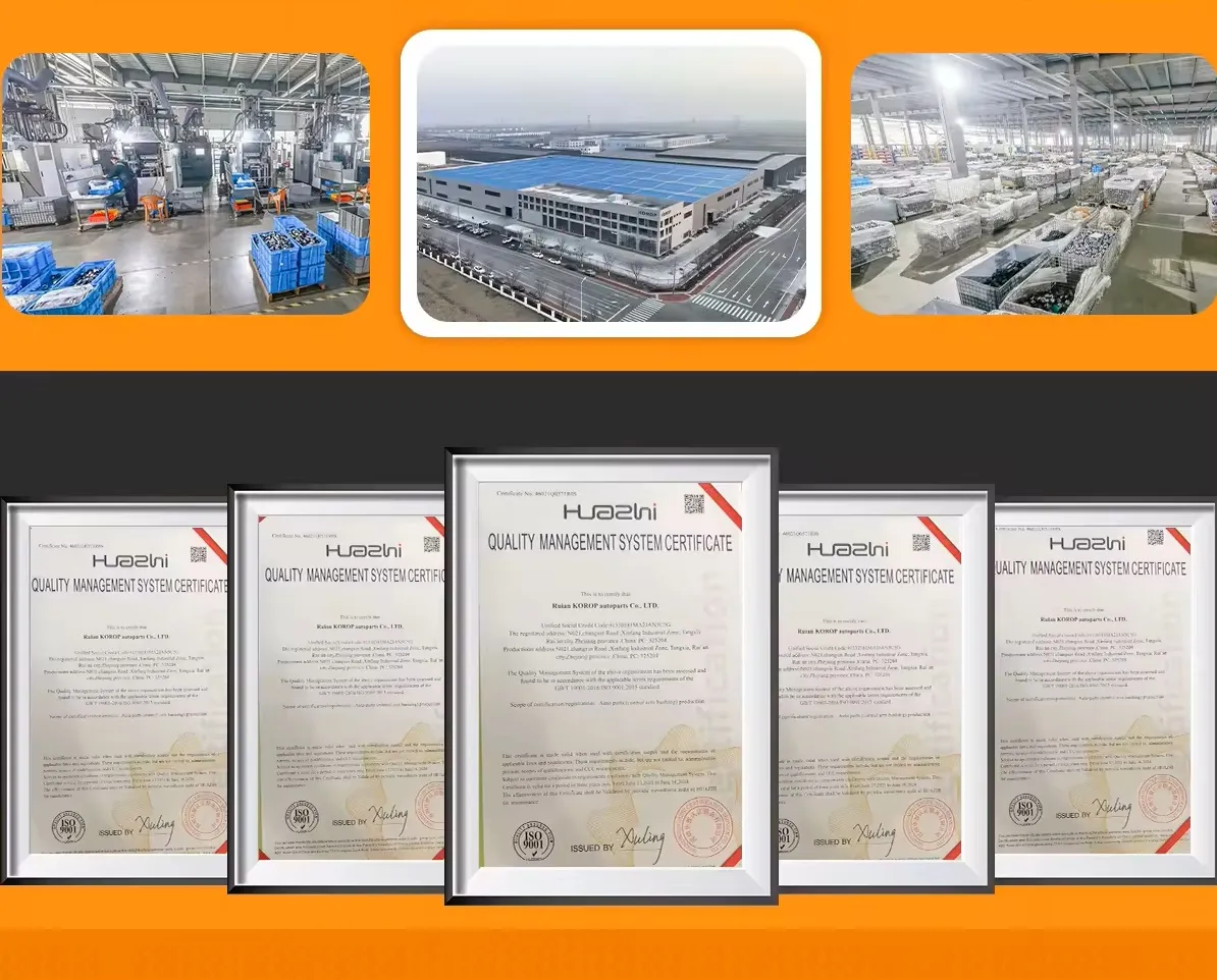 Company Profile